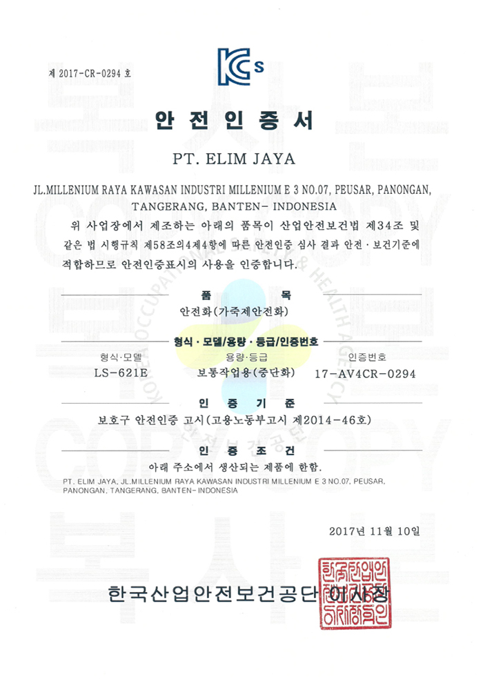 LS-621 범용안전화
