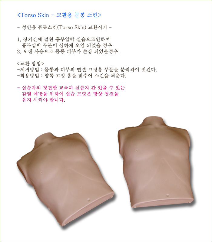 교체용 바디스킨