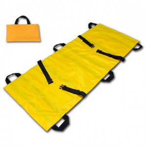 캐리시트 Carry Sheet