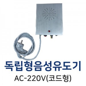 독립형 음성유도기