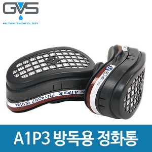 GVS 일립스