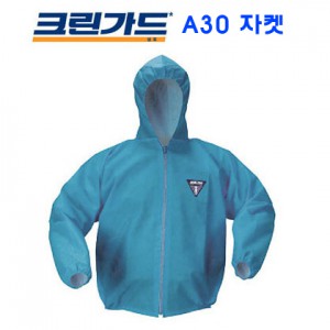 크린가드 A30 (EP)