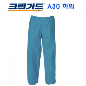 크린가드 A30 (EP)
