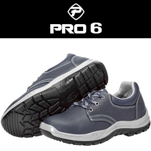 PRO6-204